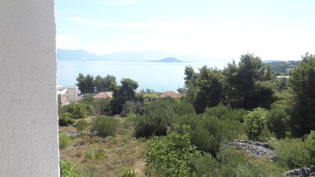 Cute Near The Sea